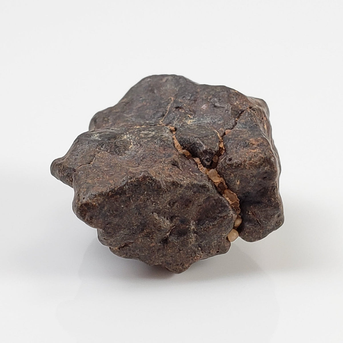  NWA 4293 Meteorite 5.3 Grams H6 Chondrite 