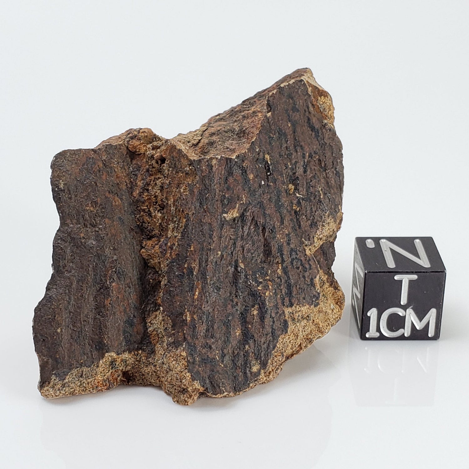 Shatter Cone Impactite | 31.57 grams | Rochechouart Impact Structure | Montoume, France