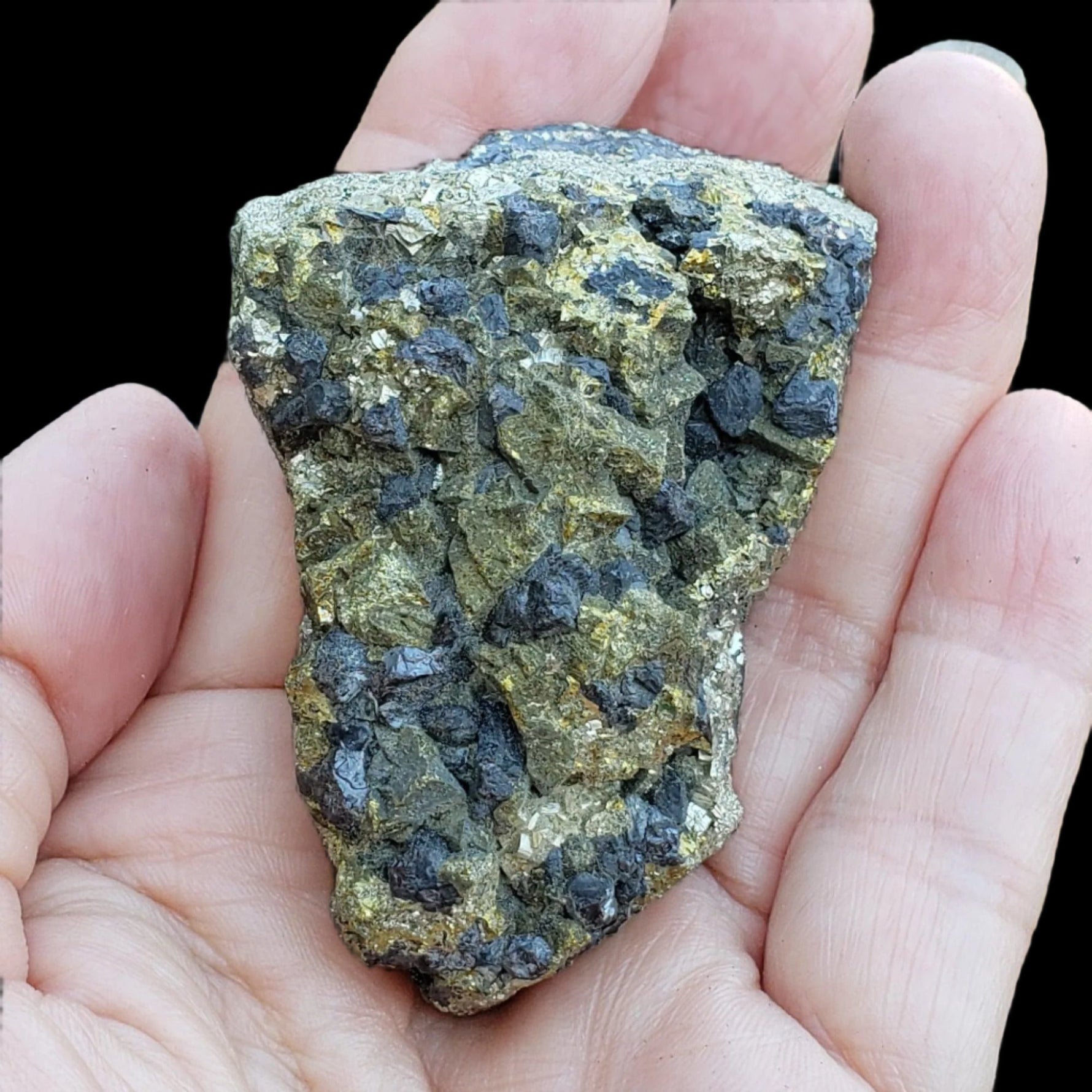  Pyrite on Marmatite Cluster 209.7 grams from Eagle X Mine, Colorado Classic 