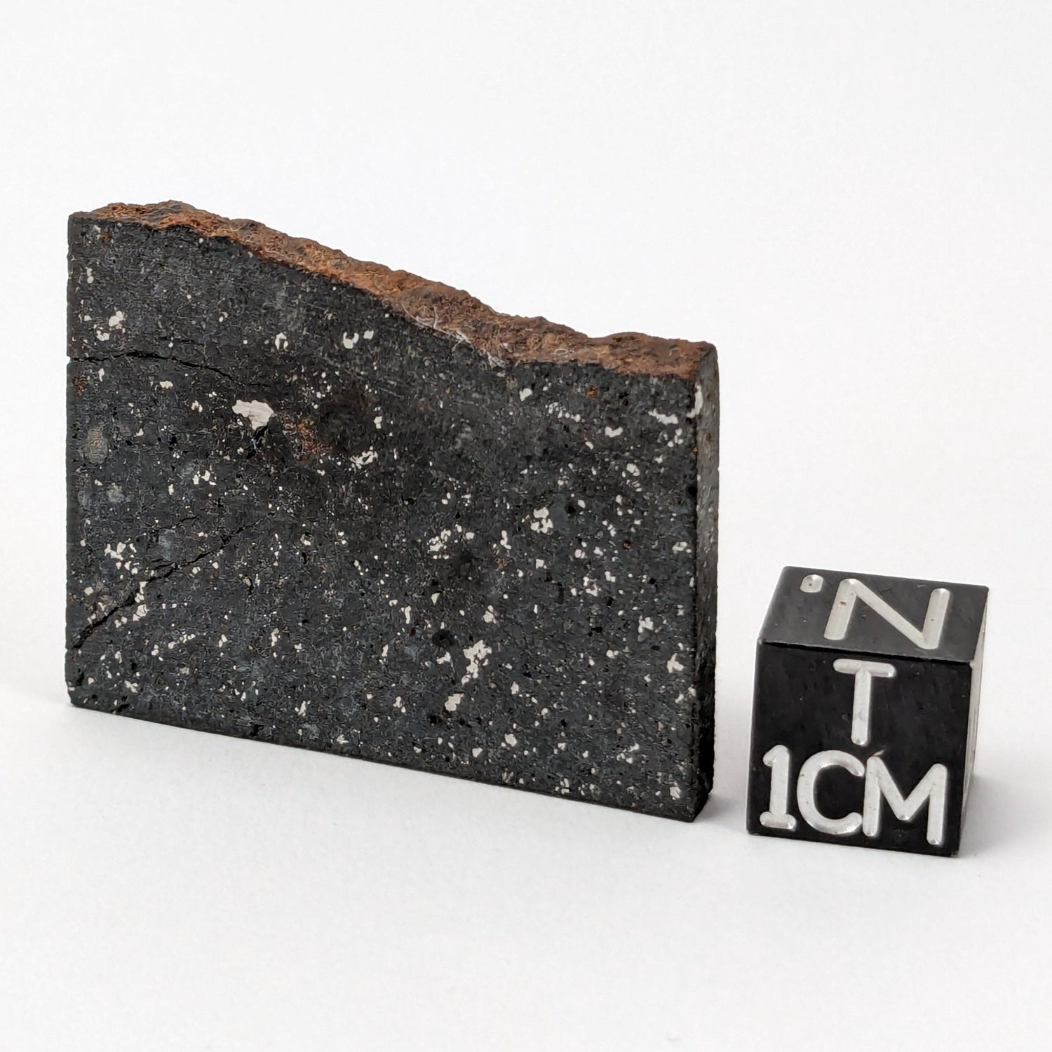 NWA 091 Meteorite | 11.53 Gr | Part Slice | L6 Chondrite | Low TKW | Sahara