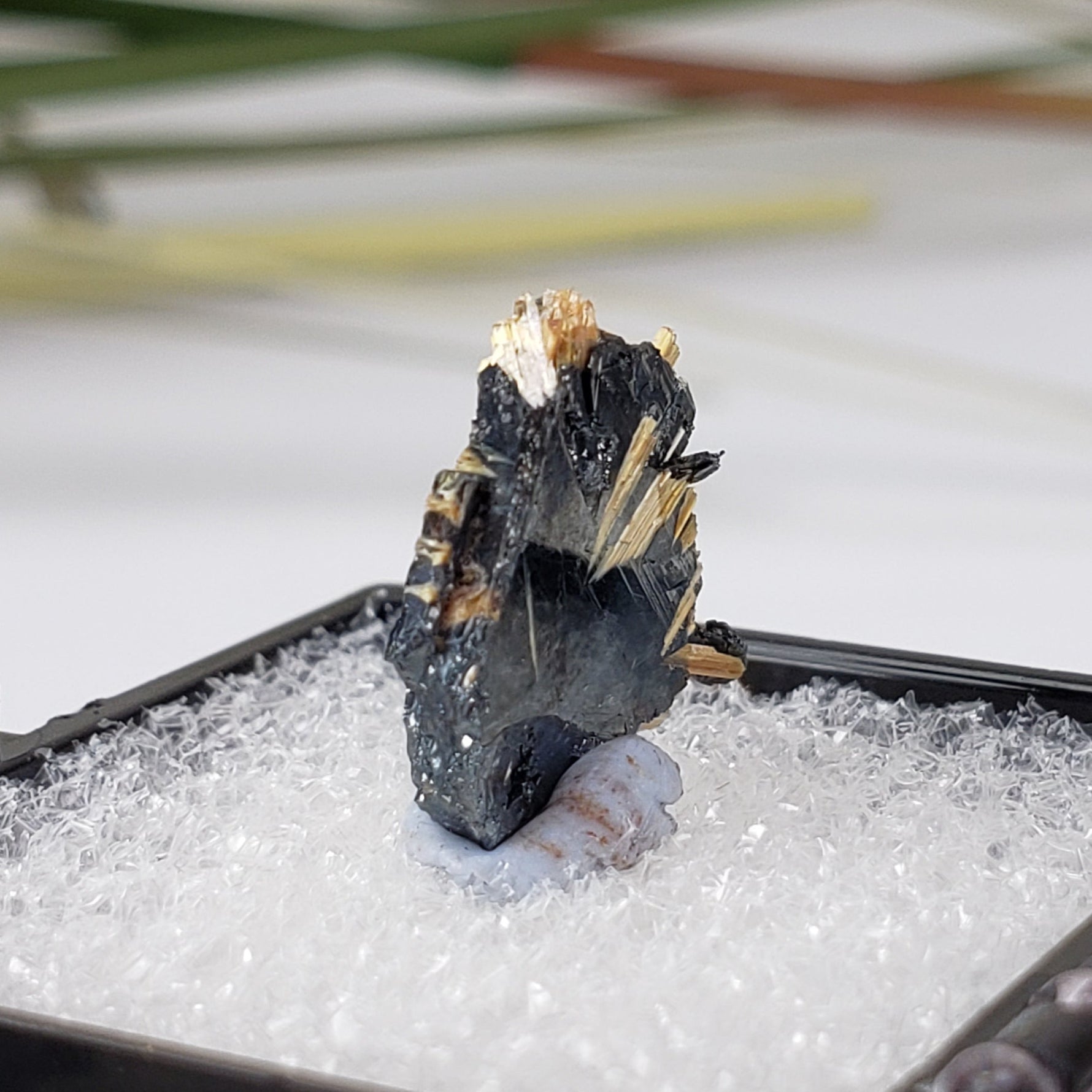  Rutile with Hematite Thumbnail Specimen from Brazil 