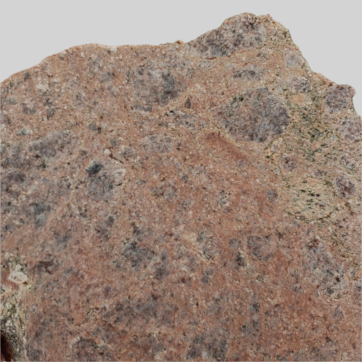 Impact Melt Rock | 40.7 grams | Dhala Impact Structure | 3rd Oldest Impact | India