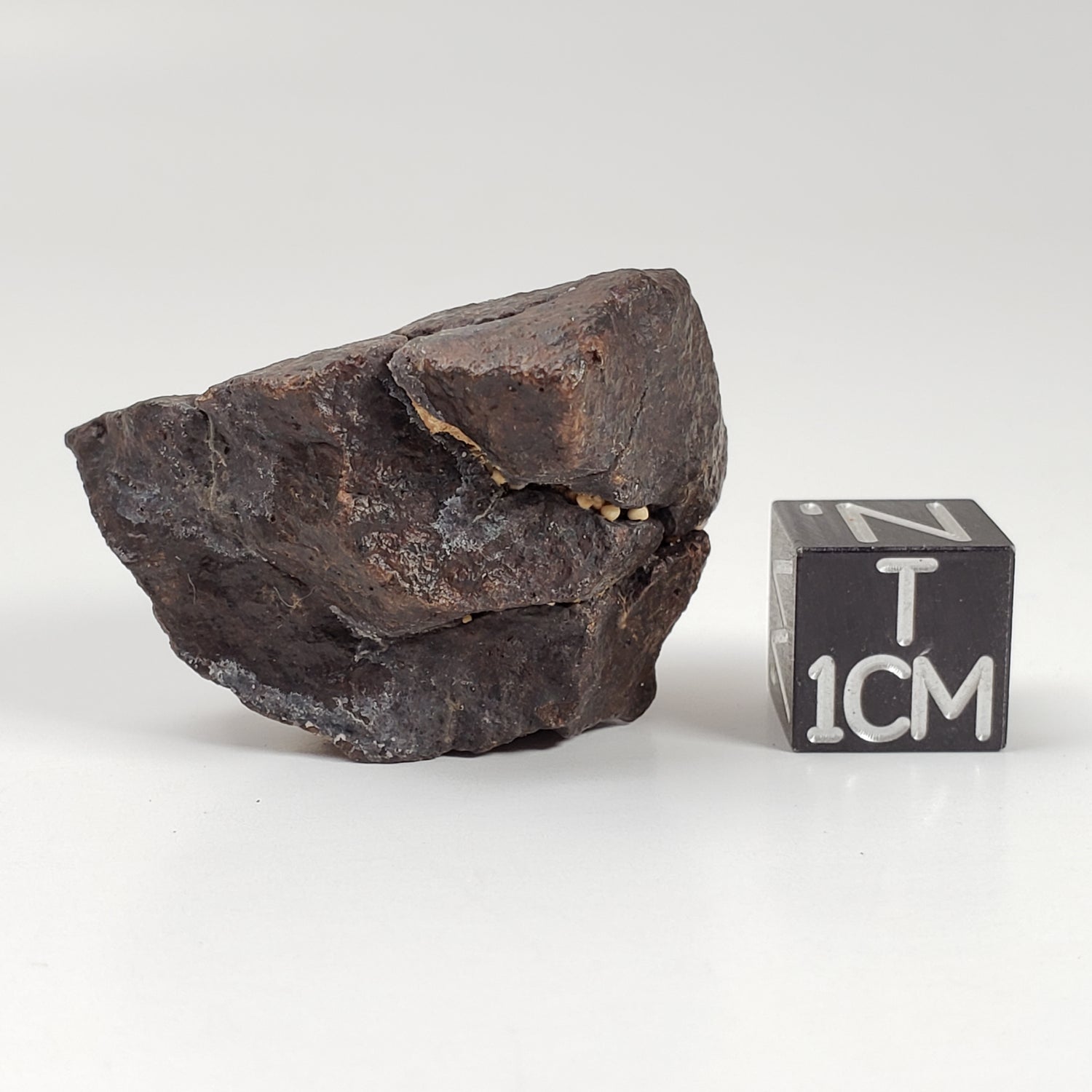 Dhofar 020 Meteorite | 17.15 Grams | Individual | H4-5 Shocked Chondrite | Sahara Y2K