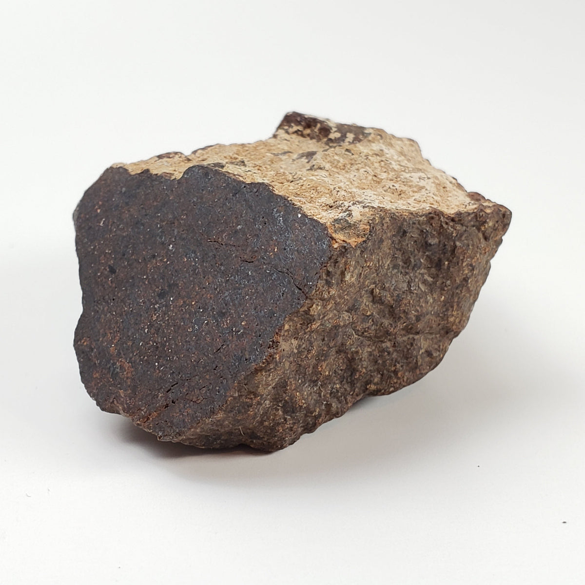 Northwest Africa NWA Meteorite | 73.7 Grams | Individual Cut Fragment | Sahara