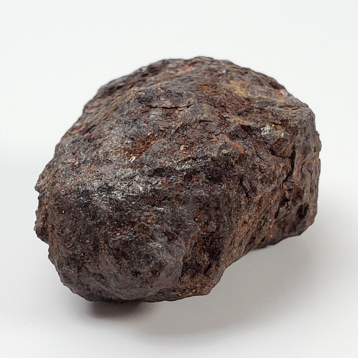  Vaca Muerta Meteorite | 40.52 Grams | Individual | Mesosiderite A1 | Chile 