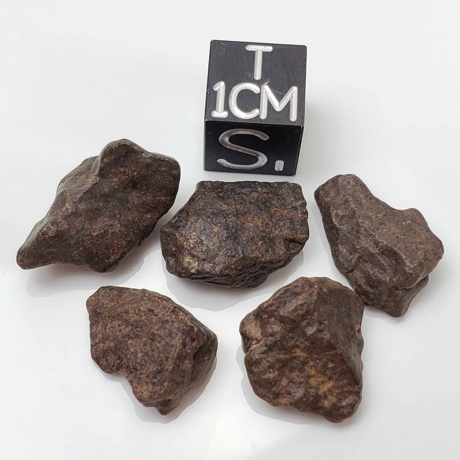 NWA 4293 Meteorite | 1 to 2 Grams | Individual | H6 Chondrite | Gem Jar