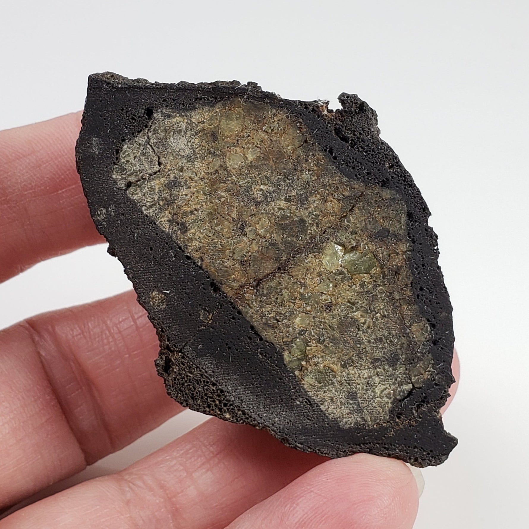  Mt Shadwell volcano rock lava 48.3 gr Volcanic rocks olivine bomb 