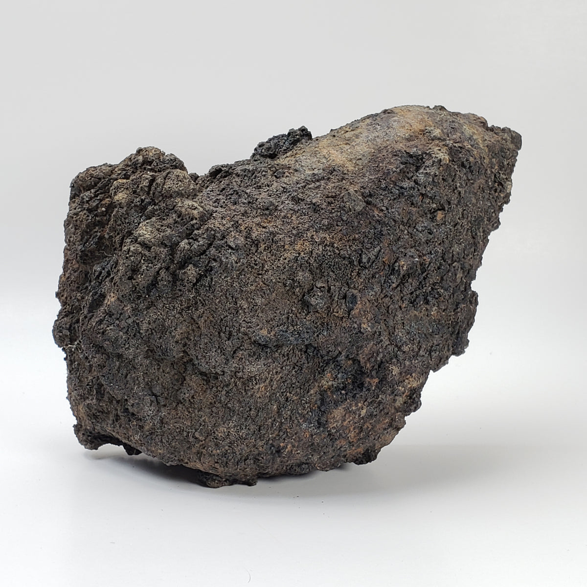 Olivine Volcanic Bomb | Lava Rock Crystal | 1.45 Kg, | Mt Shadwell, Australia