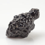  Pseudomorph Goethite After Marcasite | Prophecy Stone | 17 gr | Farafra Oasis, Egypt 