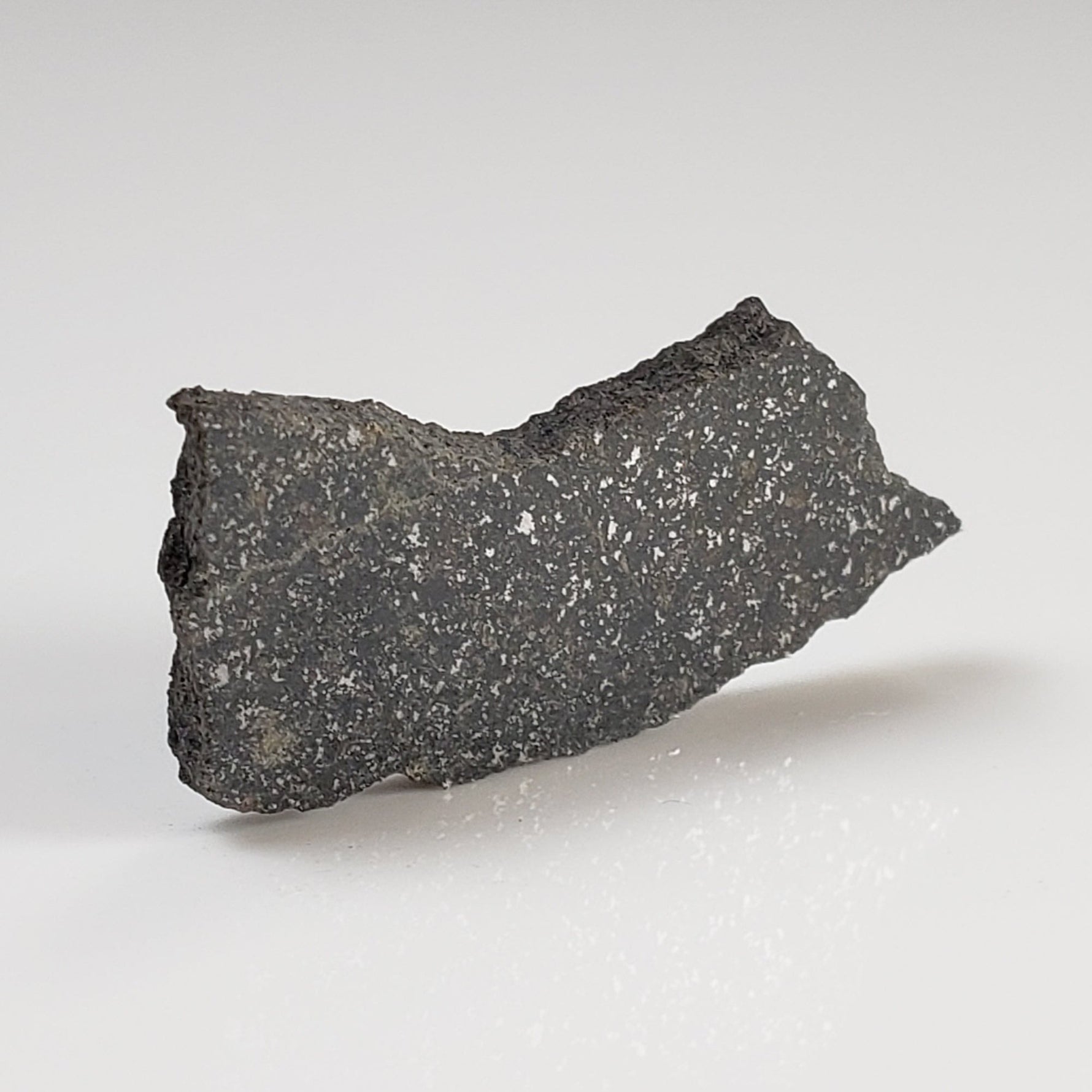  Spade Meteorite 2.1 Grams Part Slice H6 Chondrite Lamb County, Texas 