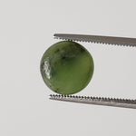 Nephrite | Round Cabochon | Green | 9.8mm | Canada