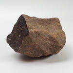 Northwest Africa NWA Meteorite | 298.5 Grams | Individual Cut Fragment | Sahara