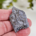 Holmquistite | 14.7 grams | Quebec Lithium Mine, Barraute, Quebec