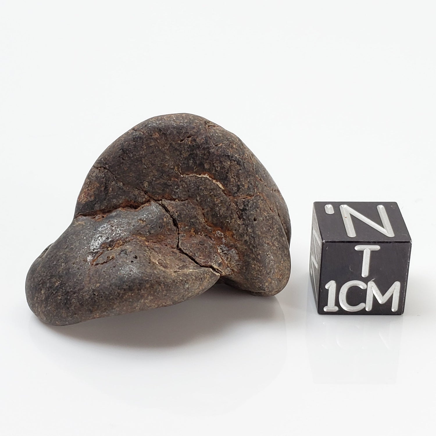  Tumbled Northwest Africa NWA Meteorite 18 Grams Individual 