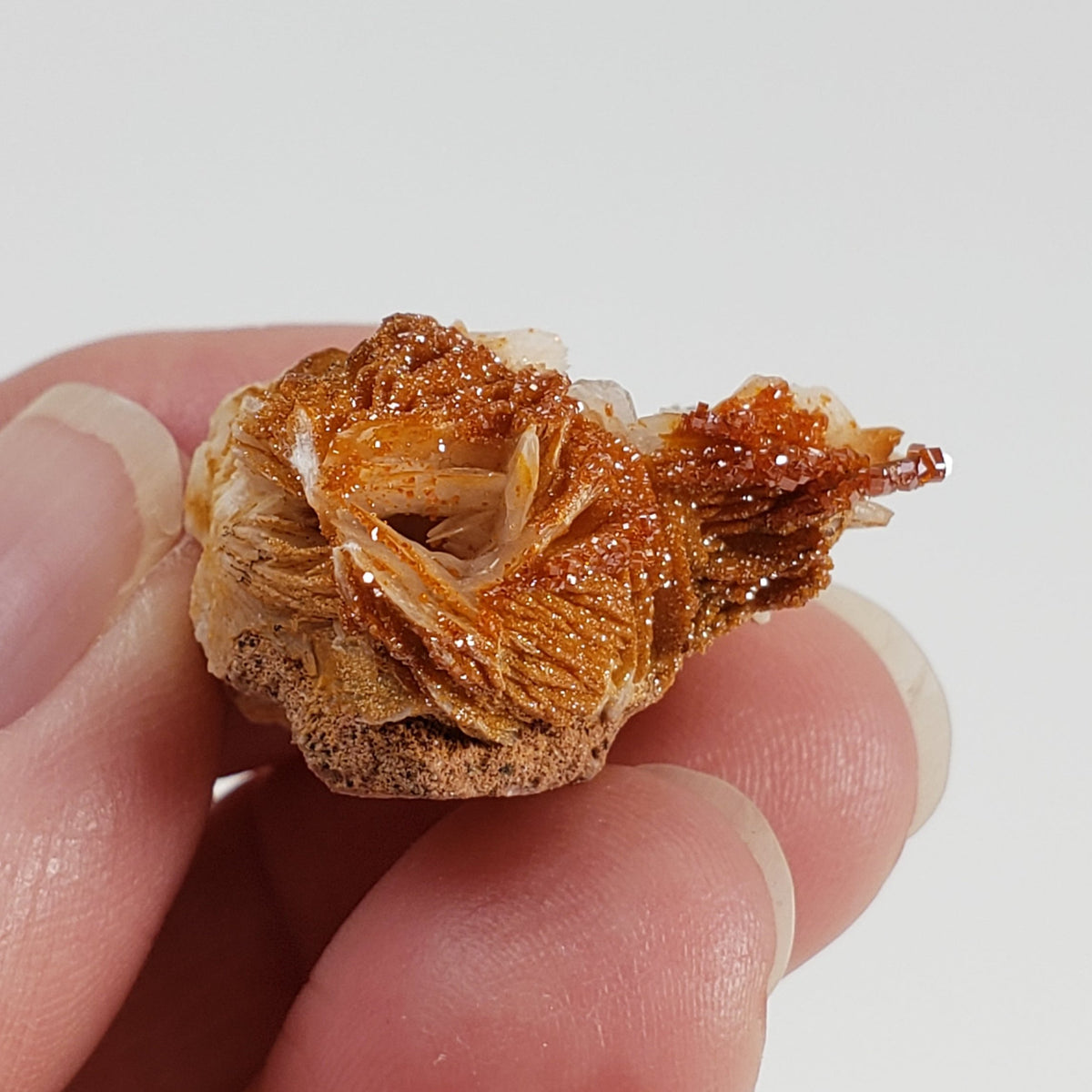  Vanadinite on Barite Crystal | 12.5 gr | Mibladen, Morocco 