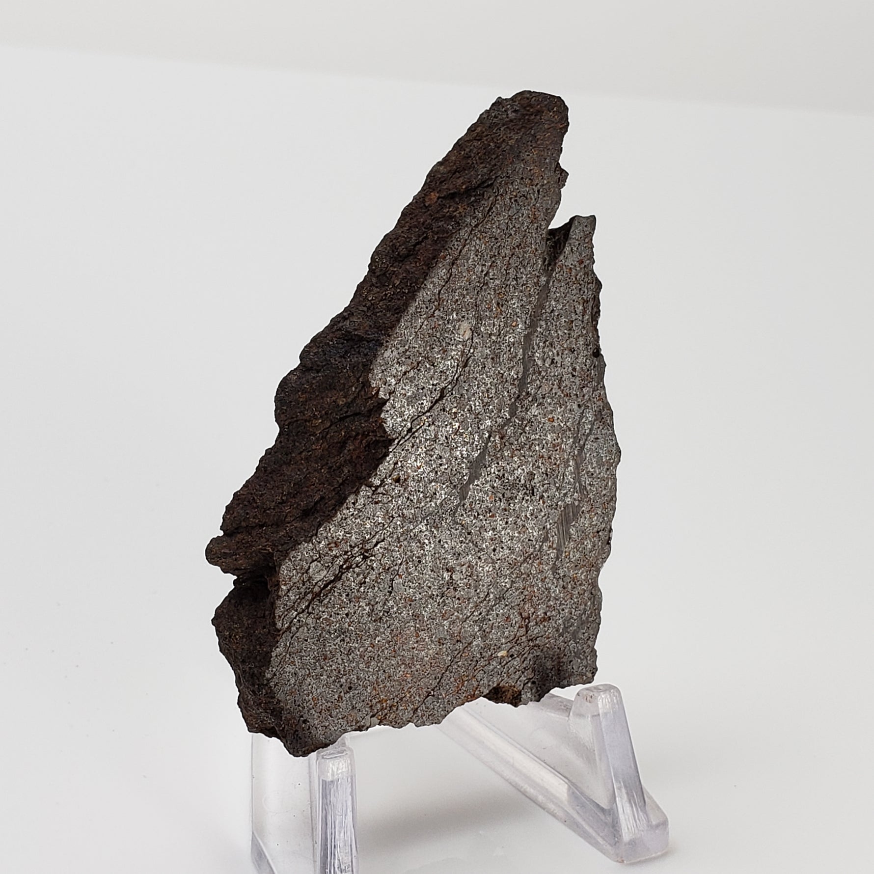  Dhofar 224 Meteorite 23.11 Grams Full Slice Rare H4 Chondrite Sahara 