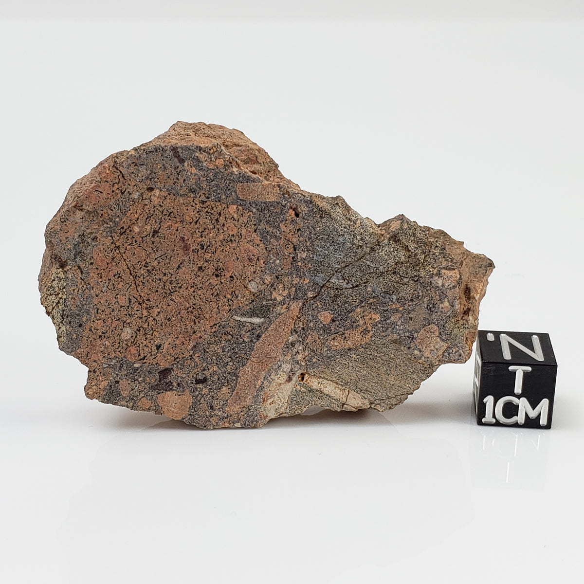   Impactite Breccia Suevite | 28.9 Grams | Montoume, Rochechouart Structure, France 