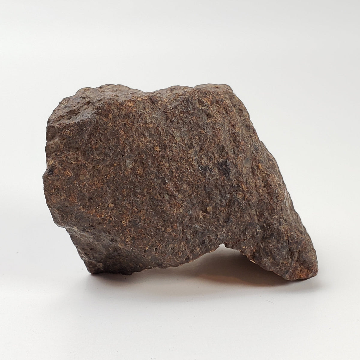 Northwest Africa NWA Meteorite | 73.7 Grams | Individual Cut Fragment | Sahara