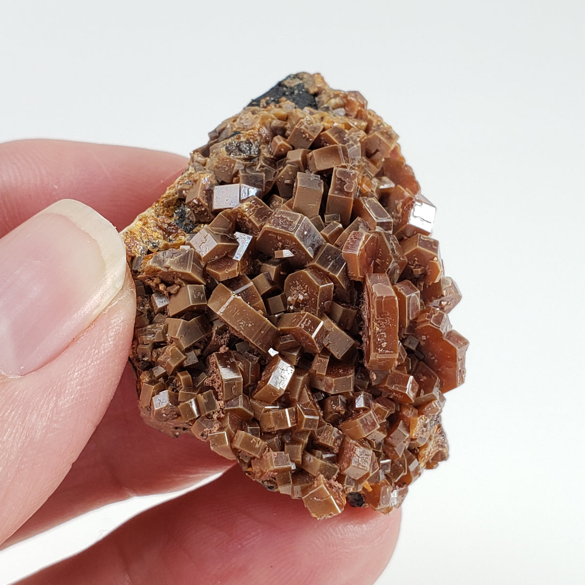  Vanadinite Crystal | Rare Brown Vanadinite | 36.4 grams | Mibladen, Morocco 