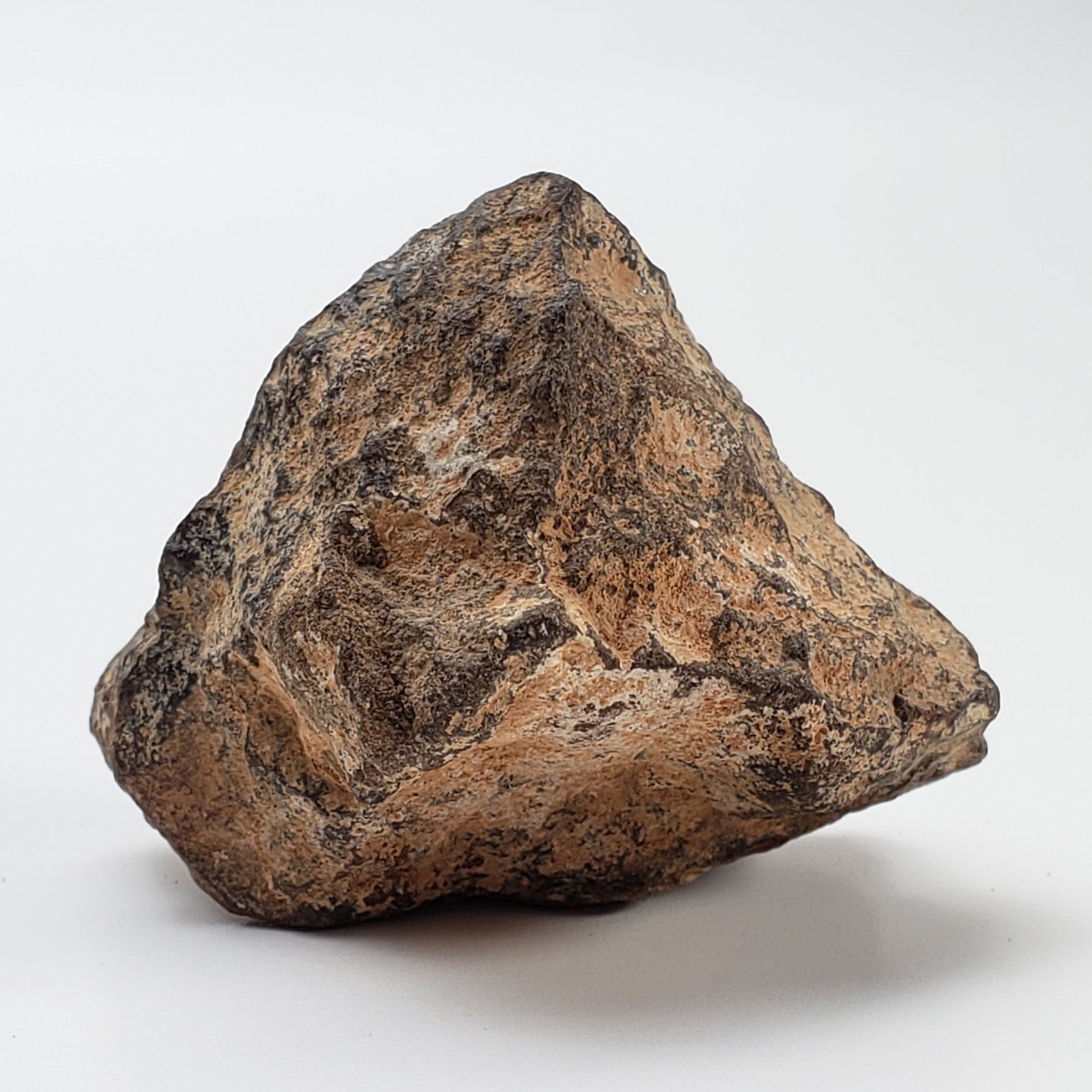 NWA 2965 Meteorite | 45.89 Grams | Individual | EL-Melt Rock | Fossil Paleomet