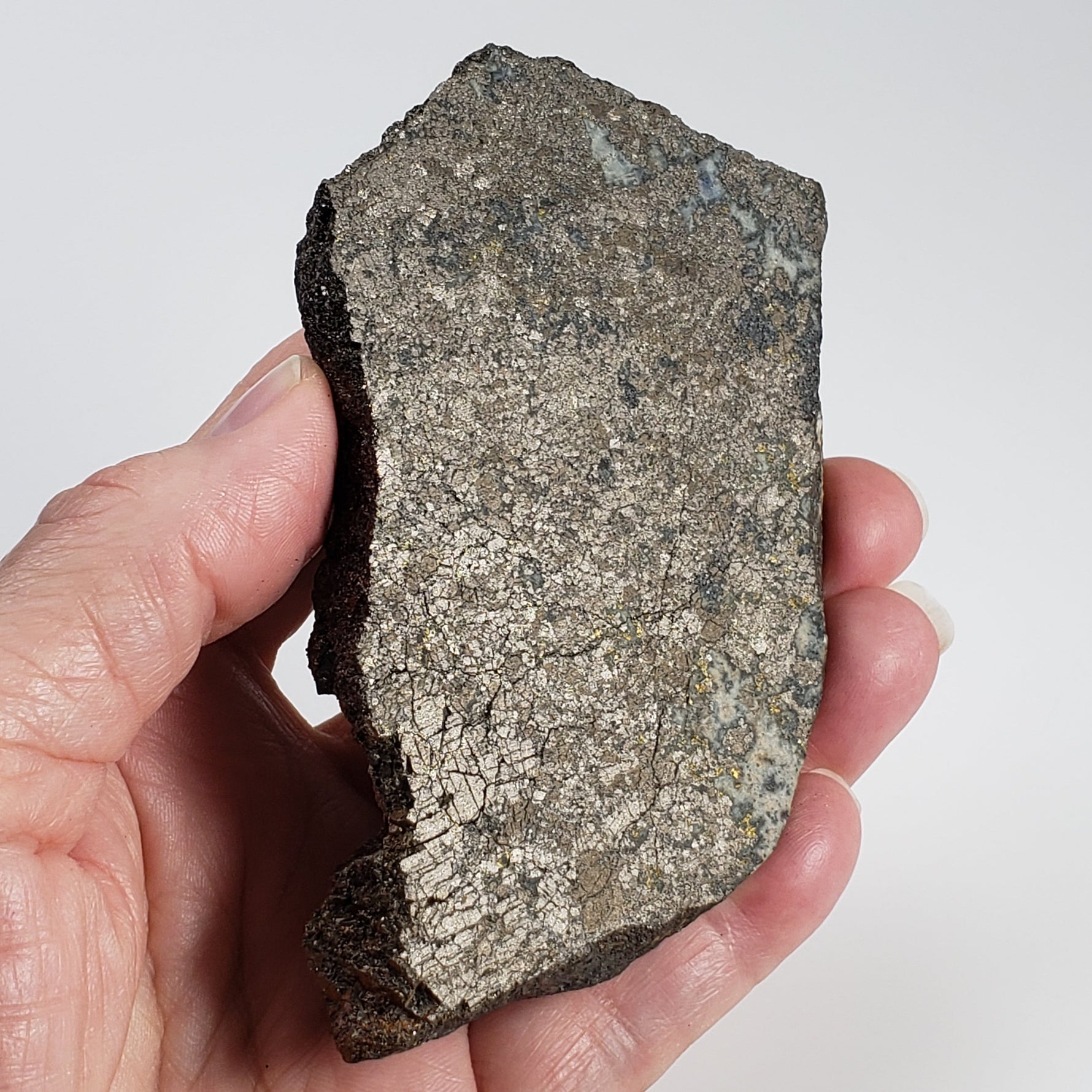 Impact Breccia | Part Slice | 222.8 Grams | Metal Rich Impactite | Sudbury Structure, Canada