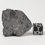 NWA 2949 Meteorite | 10.8 Gr | Rare Crusted Eucrite End Cut | Low TKW | Erfoud, Morocco