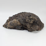  Volcanic rocks olivine bomb 1.45 Kg Mt Shadwell volcano rock lava 