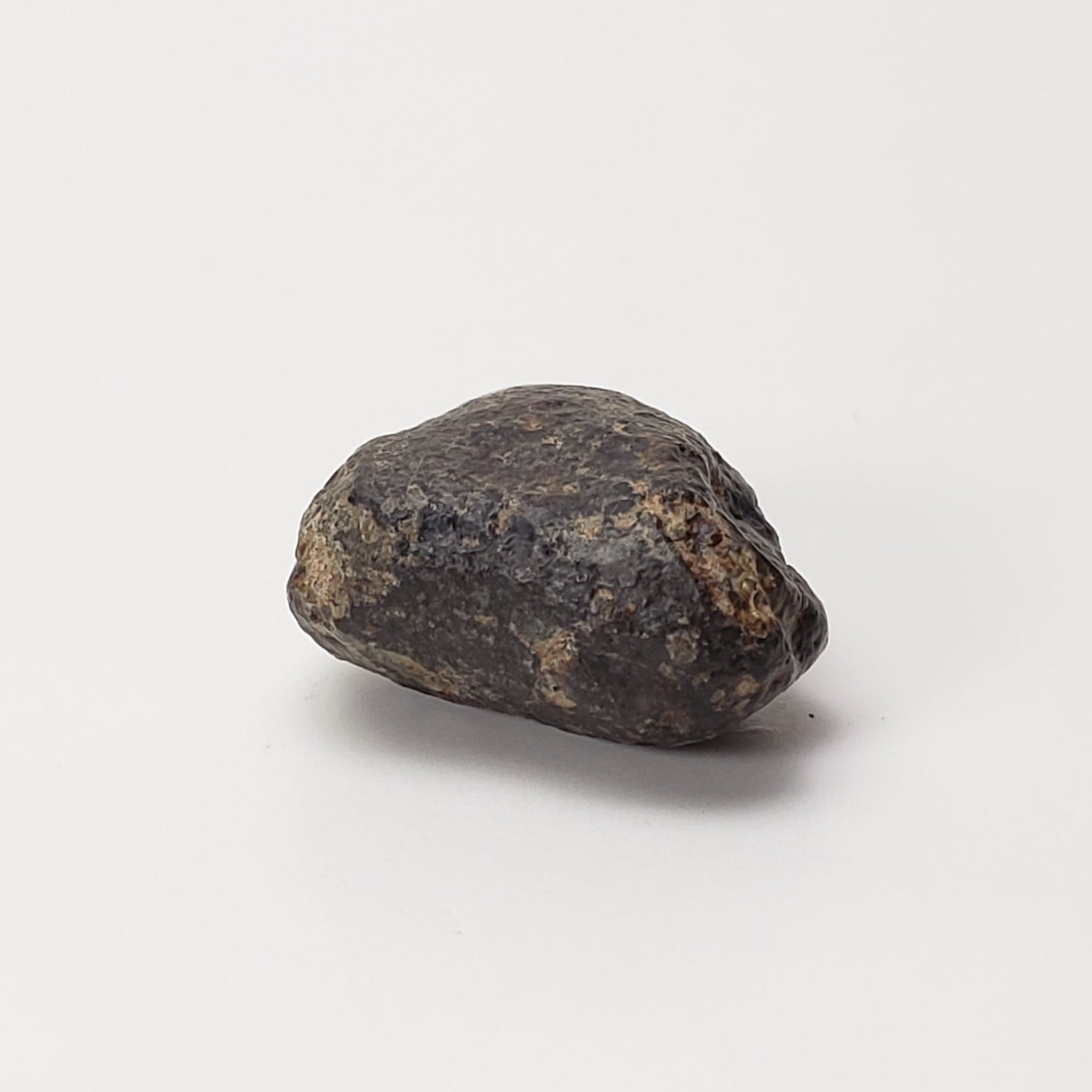  NWA 869 Meteorite | 4.78 Gr | Individual | L3-6 Chondrite | Crusted Specimen | SO24 