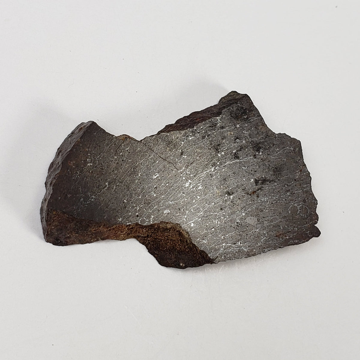  Dhofar 273 Meteorite 17 Gram Slice L5 Chondrite 