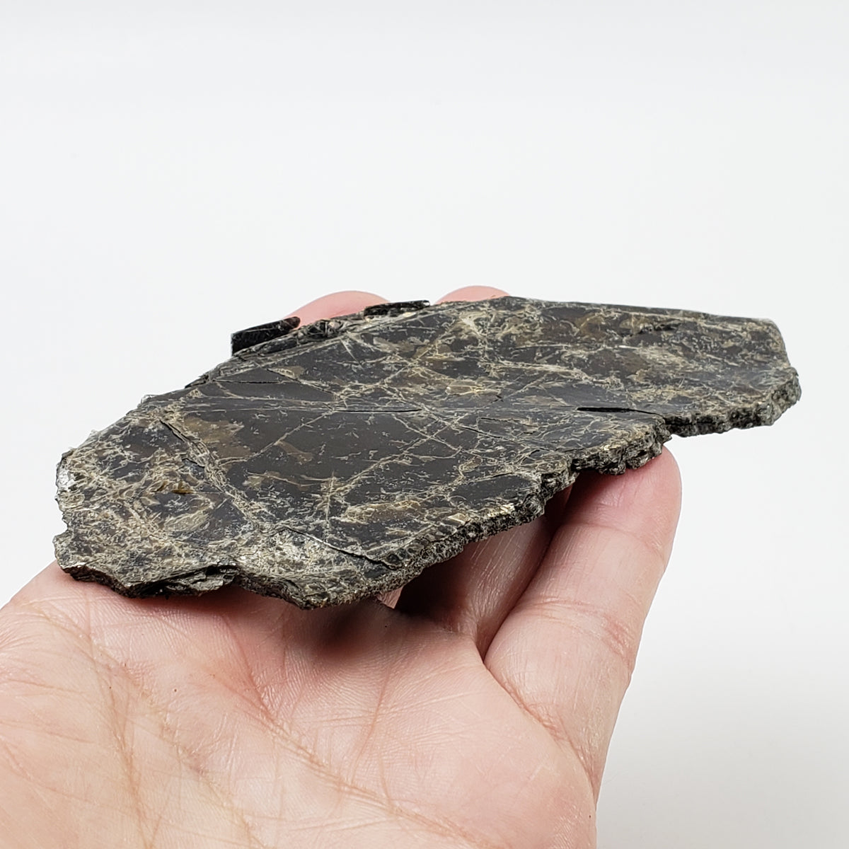  Biotite Mica Book 50 Grams from Ontario, Canada 