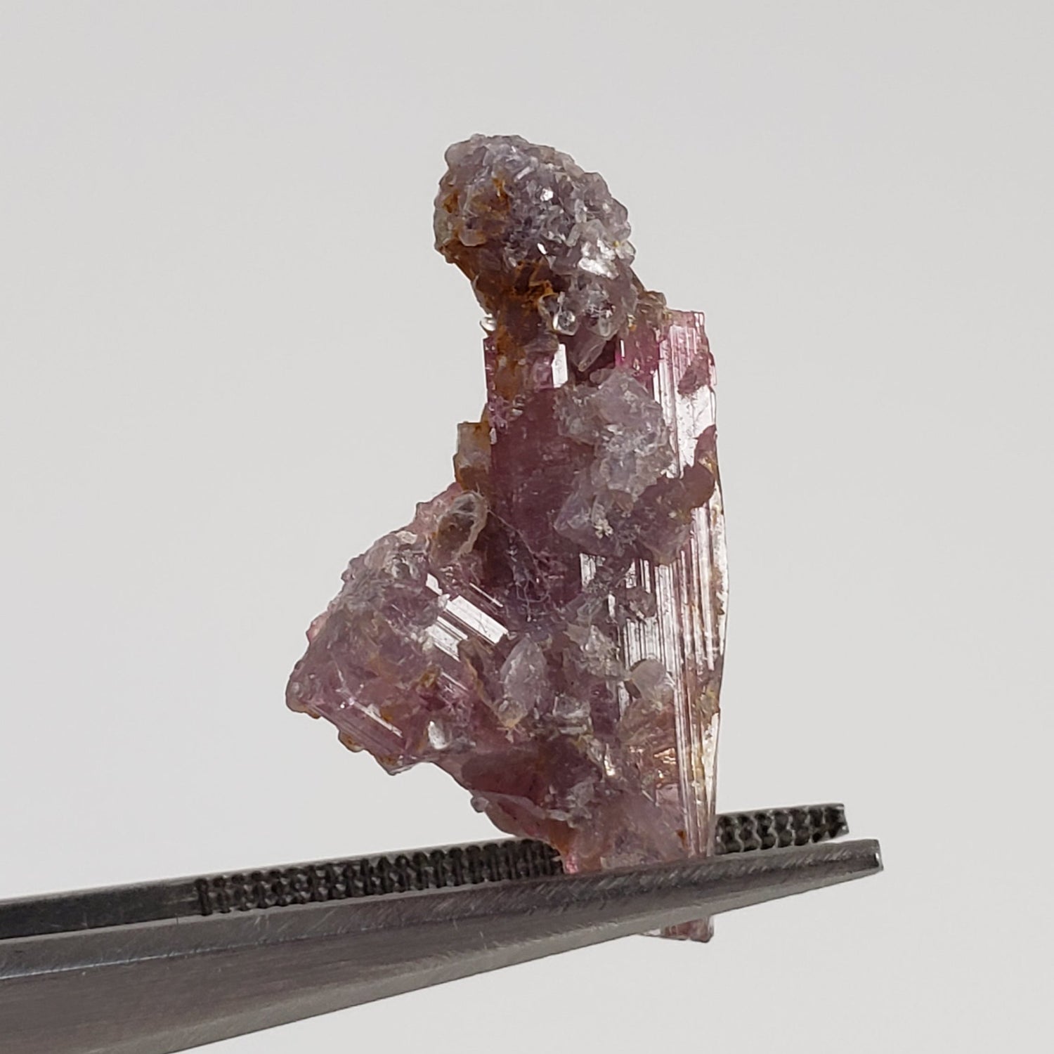 Tourmaline | Perky Box Thumbnail Specimen | Santa Rosa Mine | Minas Gerais, Brazil