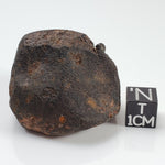 Sayh al Uhaymir SaU 001 Meteorite | 70.25 Gr | Individual | L5 Chondrite | Rare | Oman