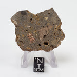  Impactite Breccia Suevite | 29.55 Grams | Chassenon, Rochechouart Structure, France 