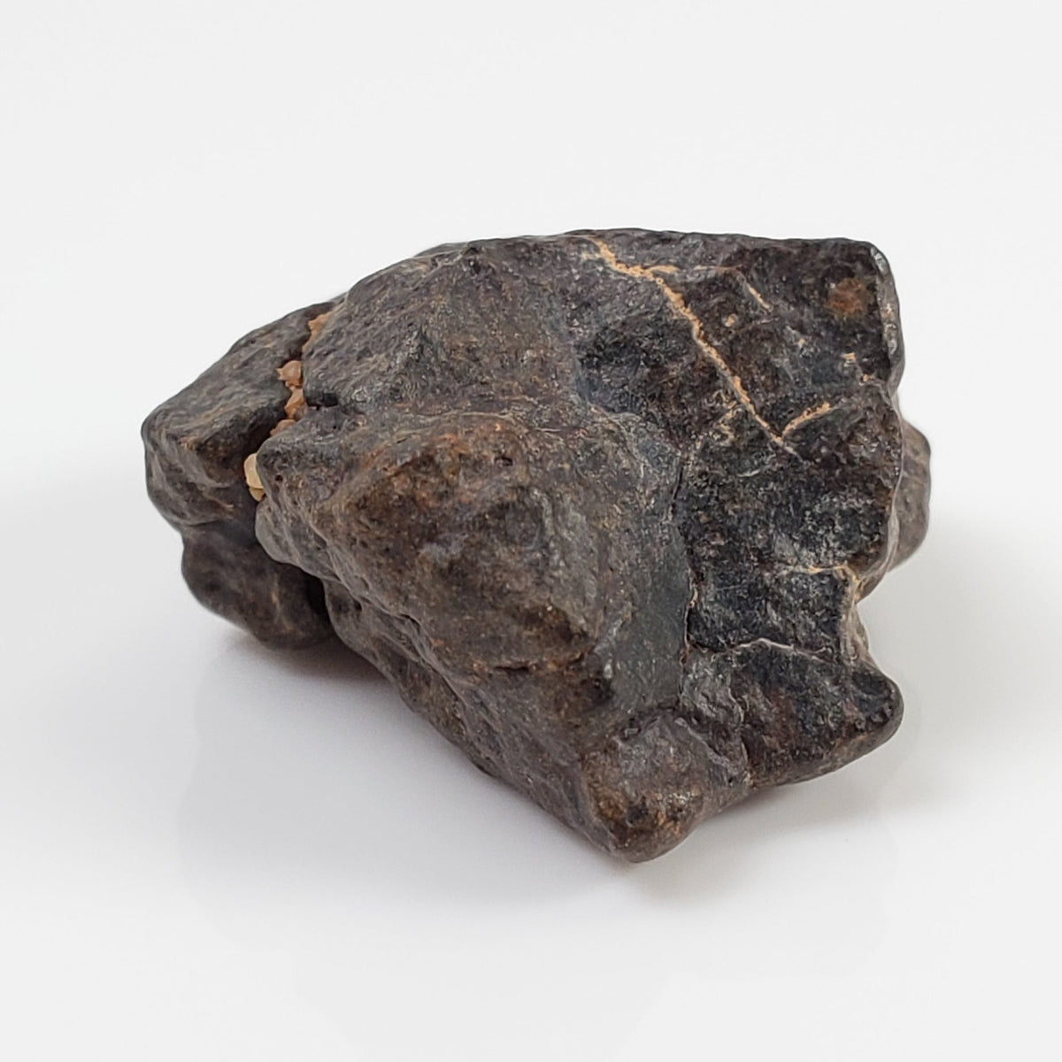  NWA 4293 Meteorite 5.3 Grams H6 Chondrite 