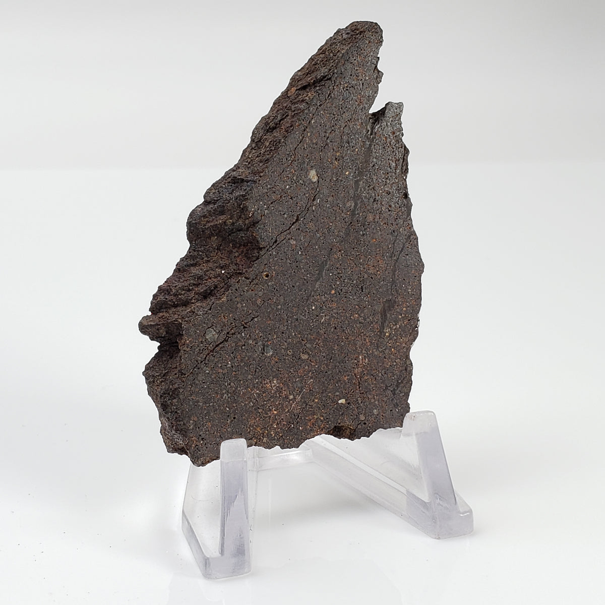  Dhofar 224 Meteorite 23.11 Grams Full Slice Rare H4 Chondrite Sahara 