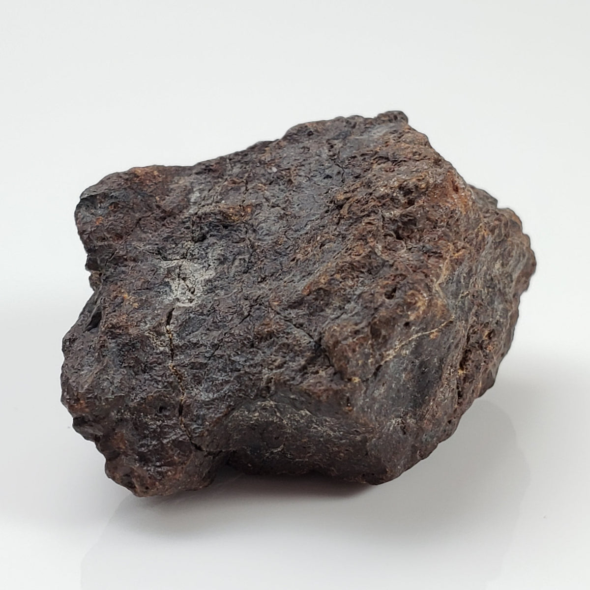  Dhofar 221 Meteorite 20.82 Grams Individual L5 Shocked Chondrite Sahara 