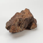 Northwest Africa NWA Meteorite | 121.6 Grams | Individual Fragment | Sahara