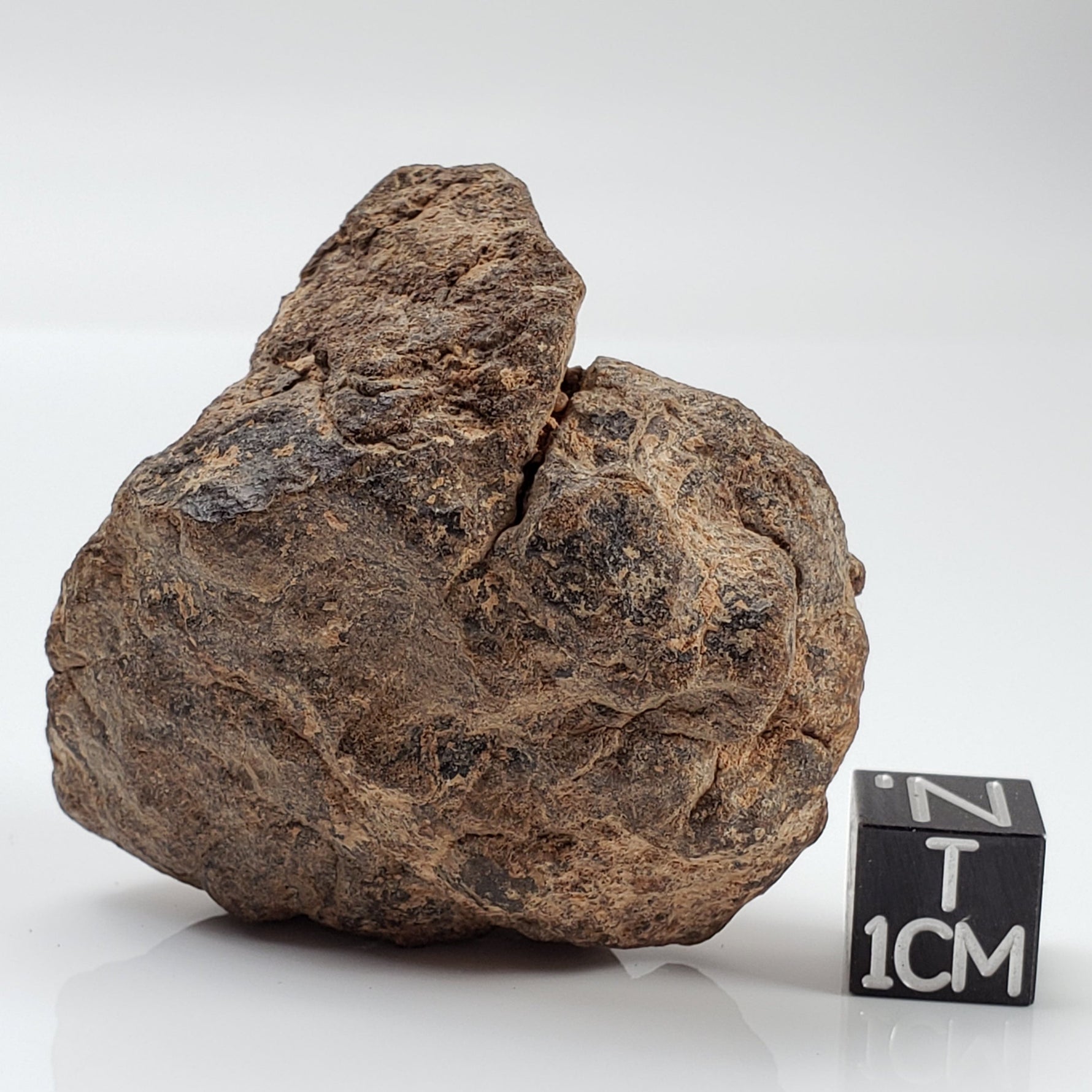 NWA 2965 Meteorite | 63.49 Grams | Individual | EL-Melt Rock | Fossil Paleomet