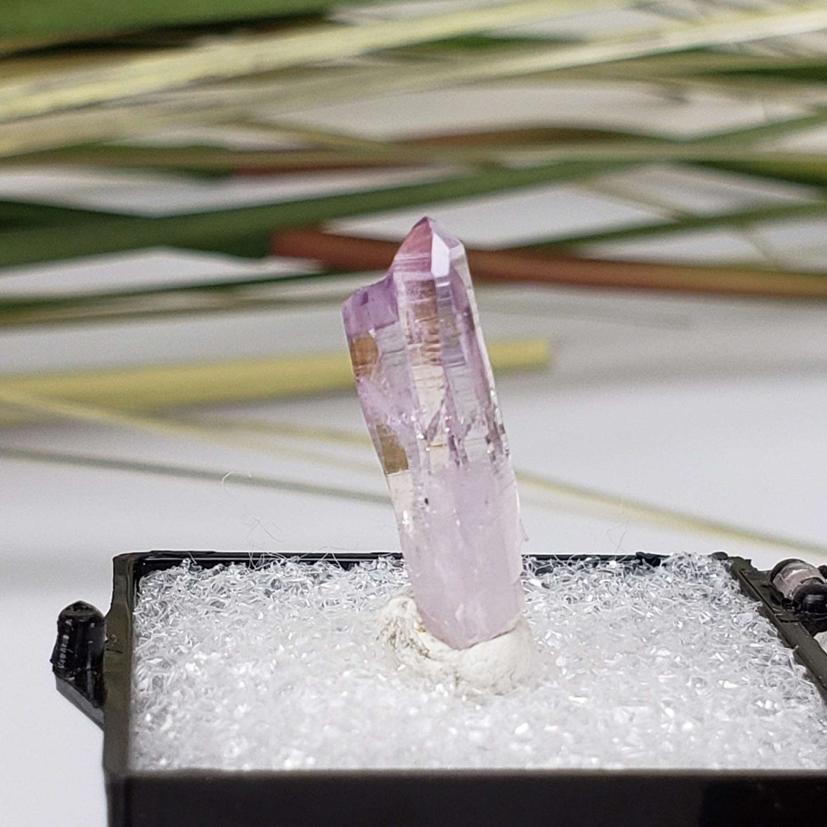  Amethyst | Perky Box Thumbnail Specimen | Veracruz, Mexico 