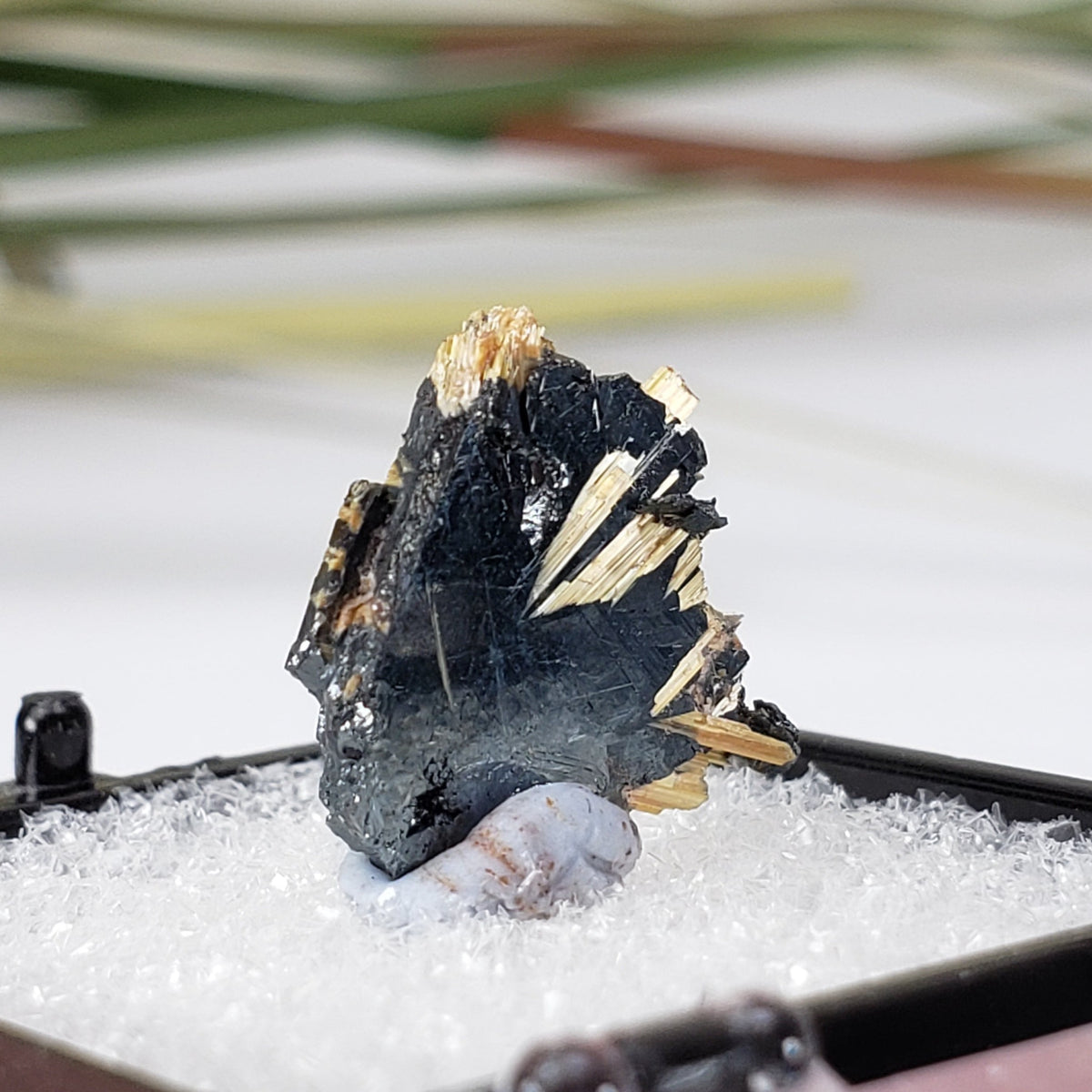  Rutile with Hematite Thumbnail Specimen from Brazil 