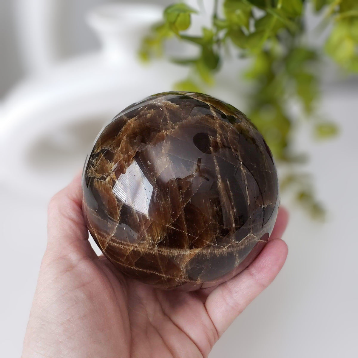  Dark Brown Aragonite Sphere 104 mm, 4.1 inches 1.71 kg 