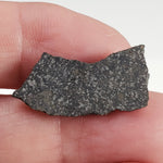  Spade Meteorite 2.1 Grams Part Slice H6 Chondrite Lamb County, Texas 