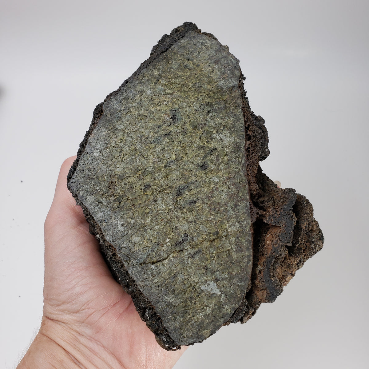  Volcanic rocks olivine bomb 1.45 Kg Mt Shadwell volcano rock lava 