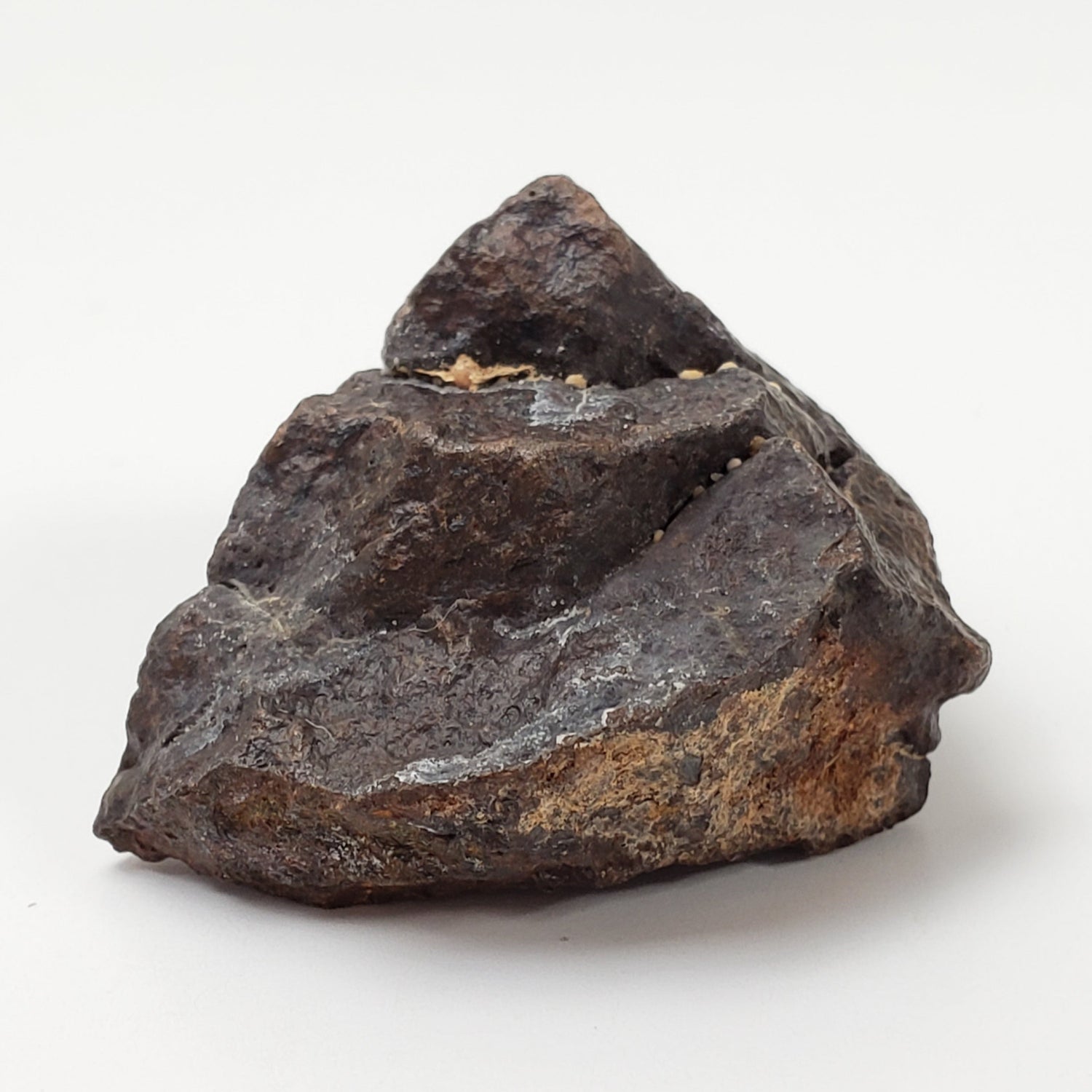 Météorites Dhofar 020 | 17,15 grammes | Individuel | Chondrite choquée H4-5 | Sahara An 2000