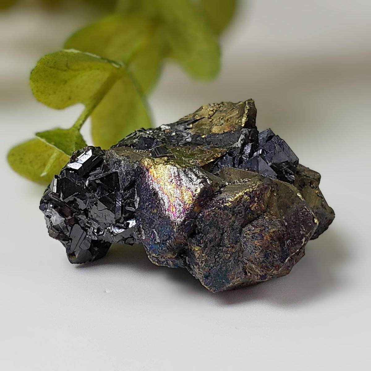 Chalcopyrite and Sphalerite Crystal Cluster | 25.3 grams | China