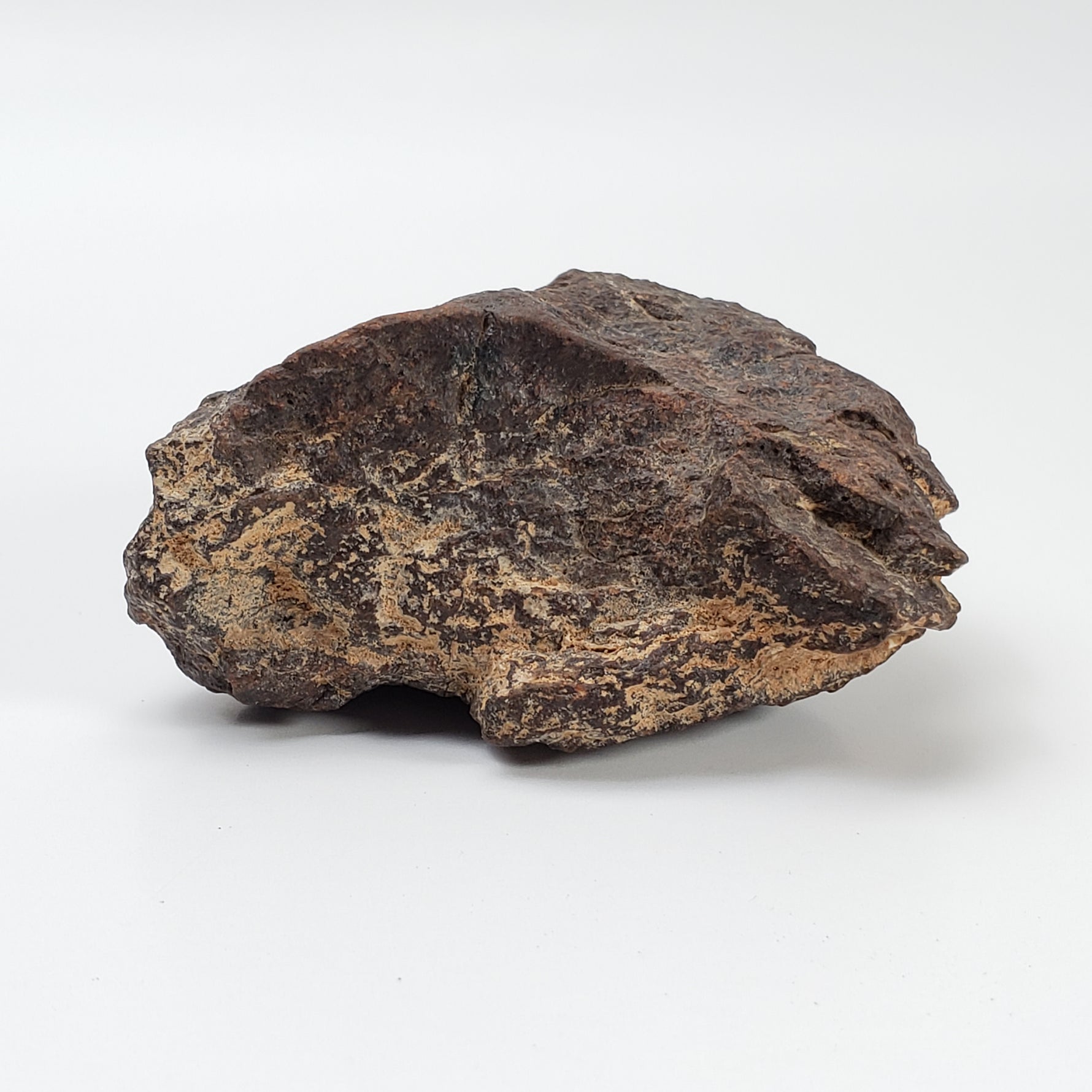 Dhofar 221 Meteorite | 142.8 Grams | Individual | L5 Shocked Chondrite | Sahara