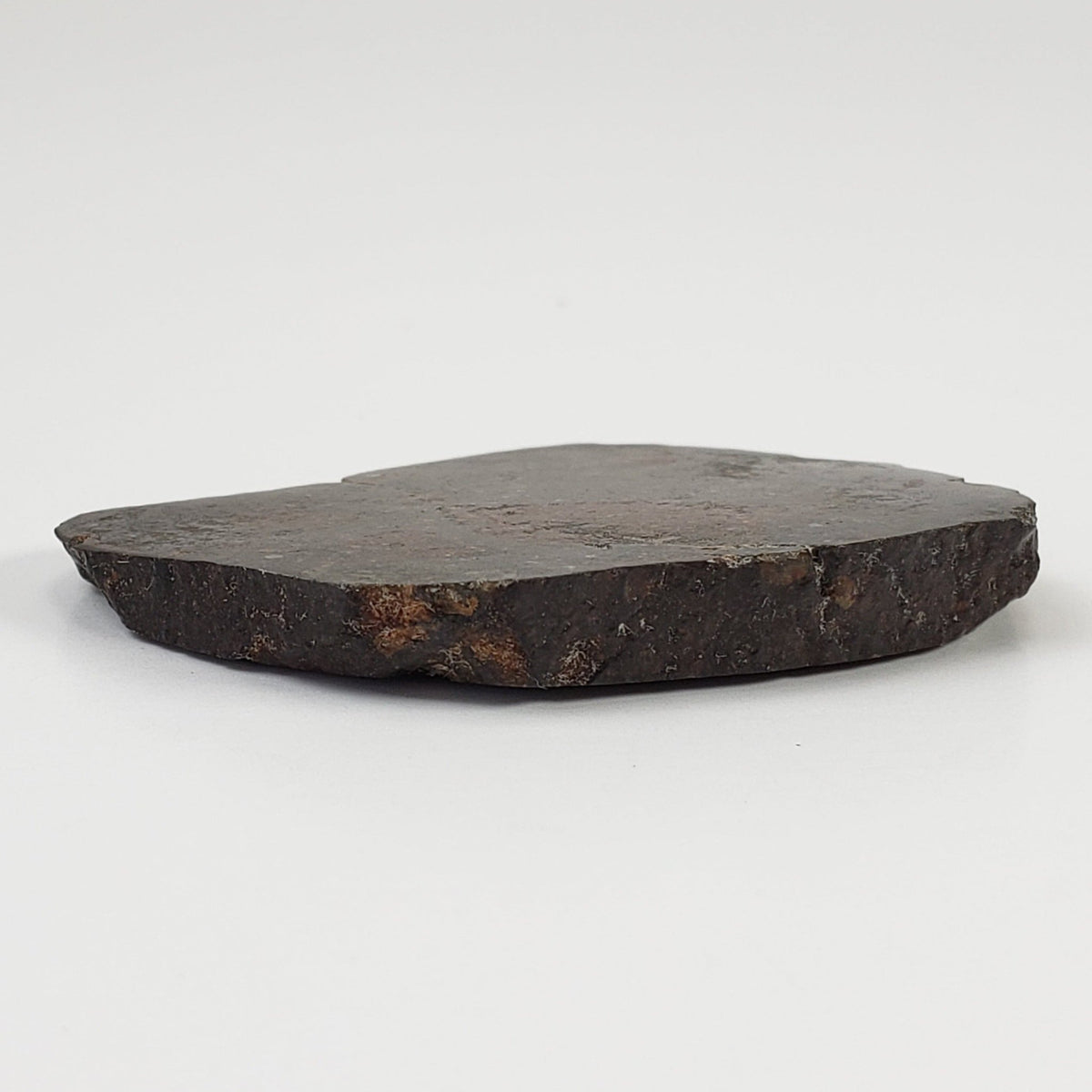 Sahara 02500 Meteorite | 17.54 Gr | Slice | L3 Chondrite | Wadi Mellene, Algeria | Sahara Desert