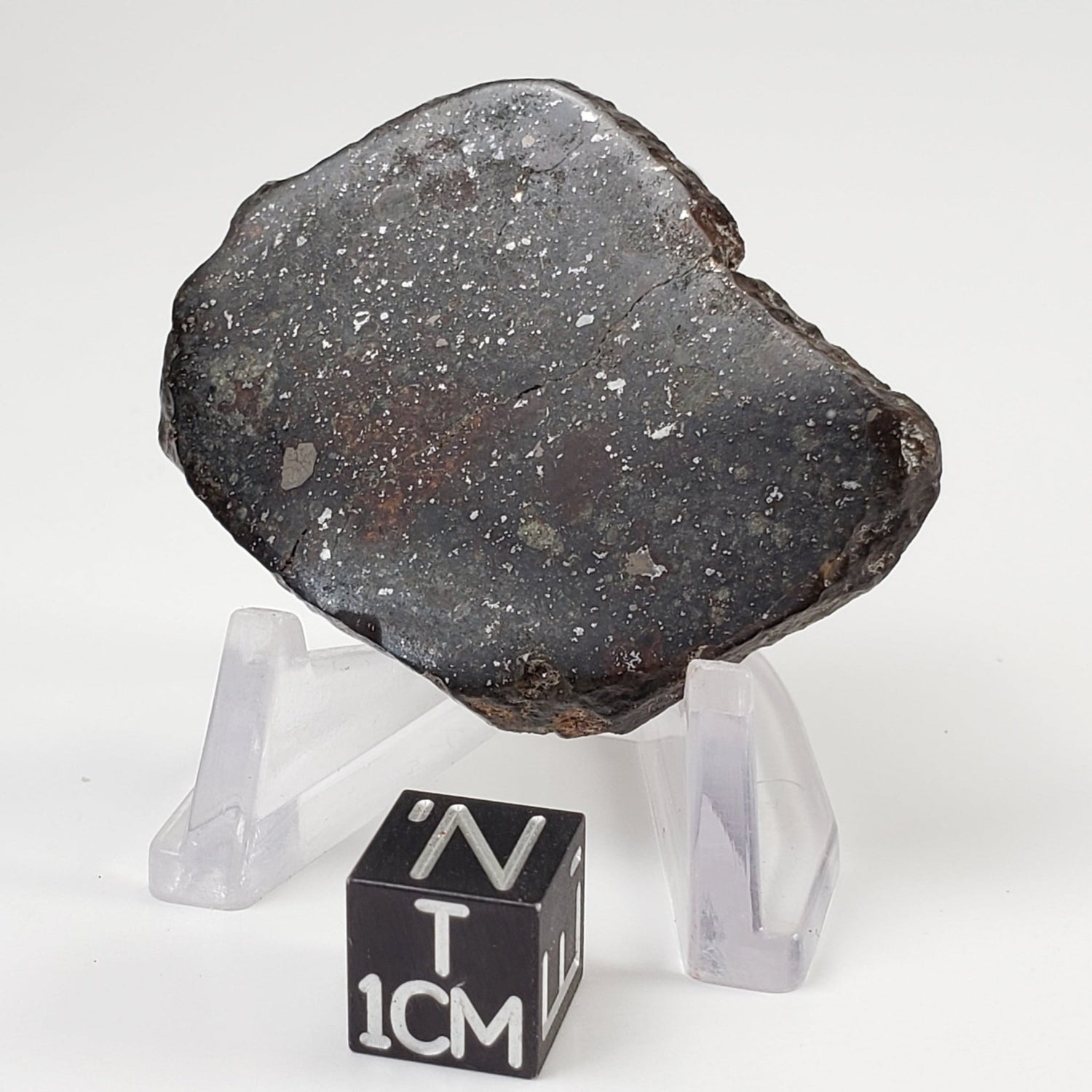 Sahara 02500 Meteorite | 17.54 Gr | Slice | L3 Chondrite | Wadi Mellene, Algeria | Sahara Desert