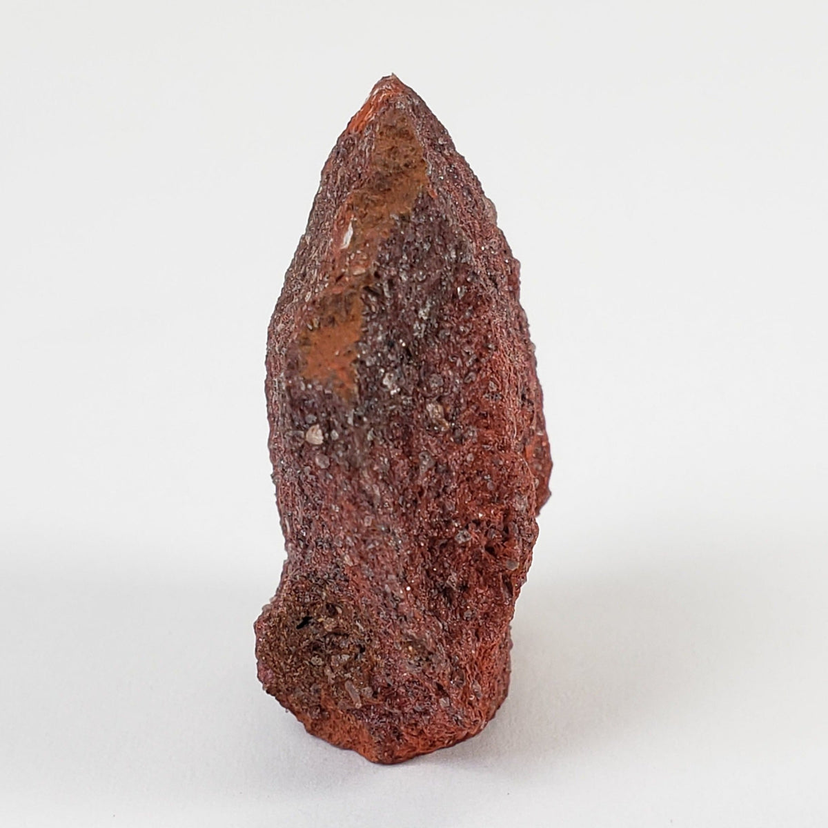 Santa Catharina Meteorite | 9.02 Grams | Cut Individual | Iron IAB-ung | Found in 1875 | Brazil