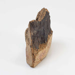 Shatter Cone Impactite | 12.65 grams | Rochechouart Impact Structure | France